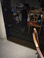 1-IMG 3550
