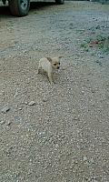 1-IMG 3580