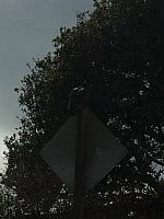 1-IMG 3615