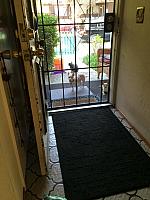 1-IMG 3637