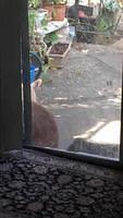 IMG 0226
