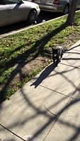 IMG 0413