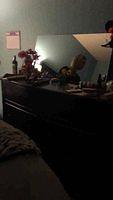 IMG 0449