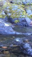 IMG 0600