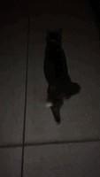 IMG 0967
