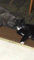 IMG 1026