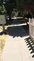 IMG 1488