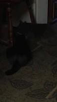 IMG 1827