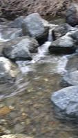 IMG 2485