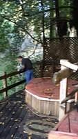 IMG 2516