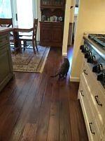 IMG 3037