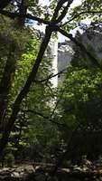 IMG 3075