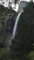IMG 3086