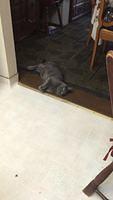 IMG 3244