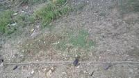IMG 3257