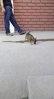 IMG 3350