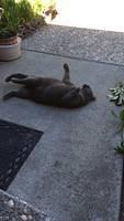 IMG 3414