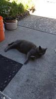 IMG 3415