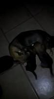 IMG 3563