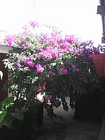 IMG 20160905 153635