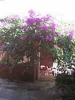 IMG 20160905 153649