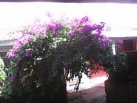 IMG 20160905 153702